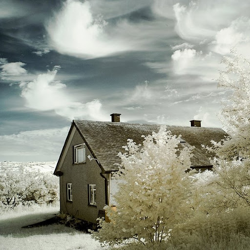 Infrared Photography - taken with infrared filter