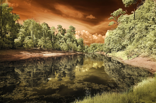 Silent Lake Bukit Cahaya, Shah Alam - Infrared Photography