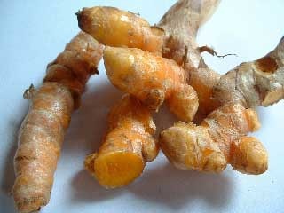 [kunyitb[3].jpg]