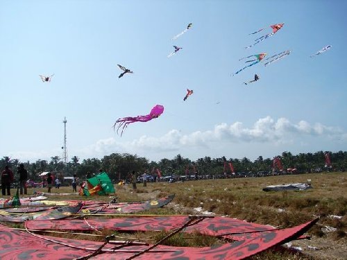 [kite fest[6].jpg]