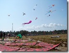 kite fest