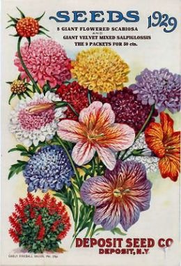 [646197_f260[2].jpg]