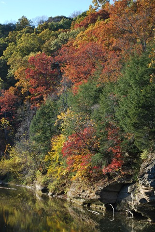 [3090620831_671bcc9739_b[3].jpg]