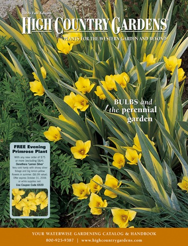 [CoverBfall06[2].jpg]
