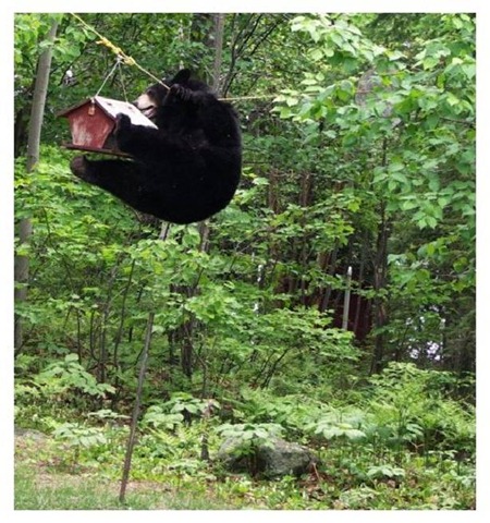 [4[2].jpg]