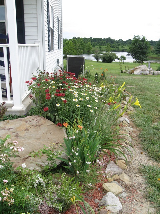 Picture 036