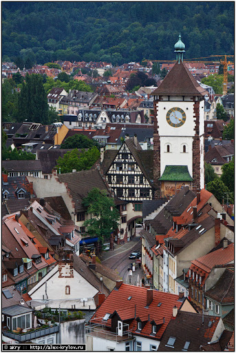 Germany : Schwarzwald : Freiburg : Munster