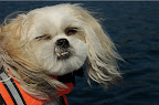 Clementine at sea
