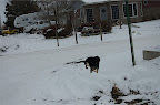 _DSC0120.NEF (Raw)