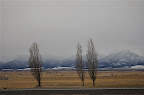 _DSC0128.NEF (Raw) _DSC0128.NEF (Raw)