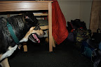 It's Augie!
