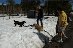 _DSC0117.NEF (Raw)