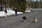 _DSC0143.NEF (Raw)
