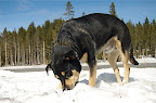 _DSC0137.NEF (Raw)
