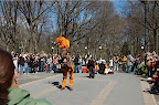 _DSC0029.NEF (Raw)
