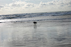 _DSC0035.NEF (Raw)