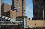 _DSC0008.NEF (Raw)