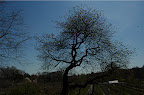 _DSC0043.NEF (Raw)