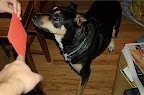 DSC_0003.NEF (Raw)