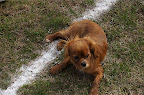DSC_0032.NEF (Raw)