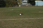DSC_0034.NEF (Raw)