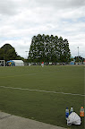 DSC_0036.NEF (Raw)