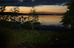 DSC_0050.NEF (Raw)