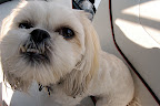 DSC_0077.JPG