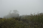 _DSC0063.NEF (Raw)