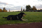 _DSC0160.JPG