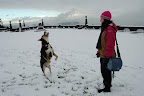Augie catches a snowball on top of Rocky Butte