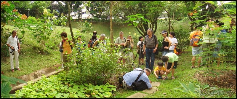 [Panorama1[1].jpg]