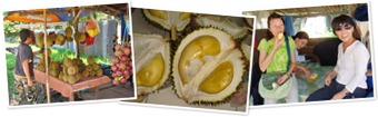 View Durians in Malaysia
