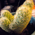 DSCN0044.JPG