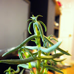 DSCN0047.JPG