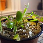 DSCN0061.JPG