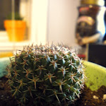 DSCN0076.JPG