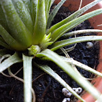 DSCN0181.JPG