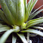DSCN0182.JPG