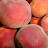 DSC01041.JPG
