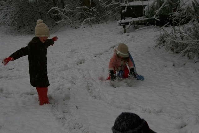 [snow[3].jpg]