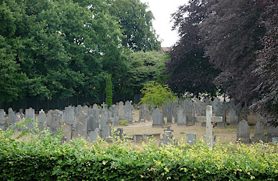 graveyard among trees
