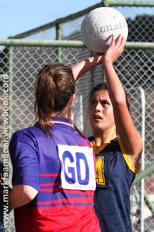 IMAGE: http://lh5.ggpht.com/_a_v5U7guC1c/TH0D6kNlMYI/AAAAAAAAc30/MQub6uTe0zs/s800/IMG_9999_2896.JPG