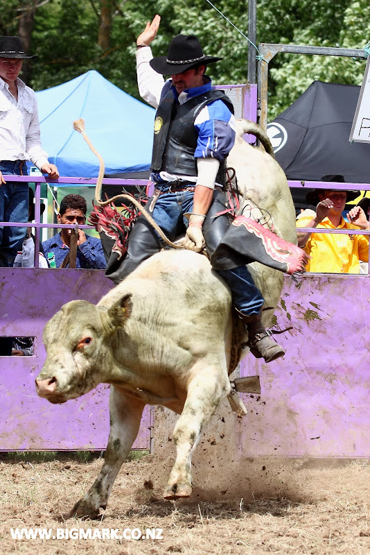 IMAGE: http://lh5.ggpht.com/_a_v5U7guC1c/TO9hwnqLlmI/AAAAAAAAdls/bRA0XN5dEhA/s800/BULLRIDE_0550.JPG