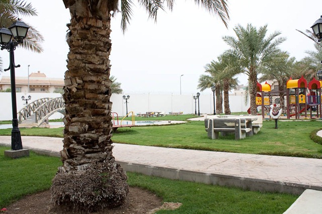 [IMG_63243.jpg]