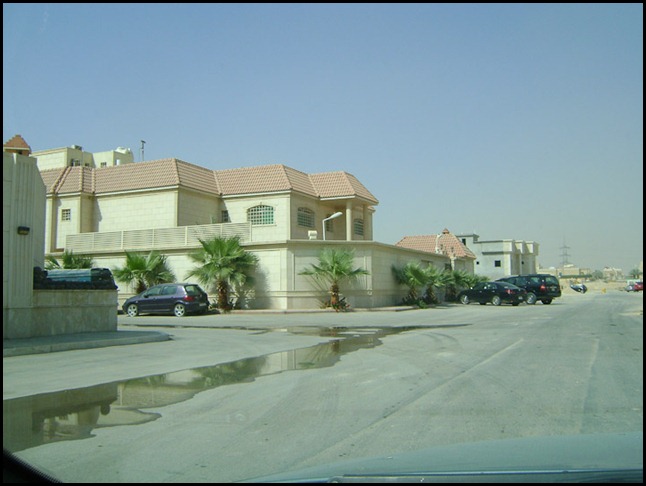 DSC01141