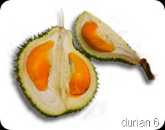 durian9