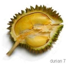 [durian10[5].jpg]