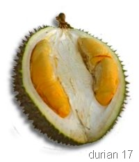 [durian8[5].jpg]