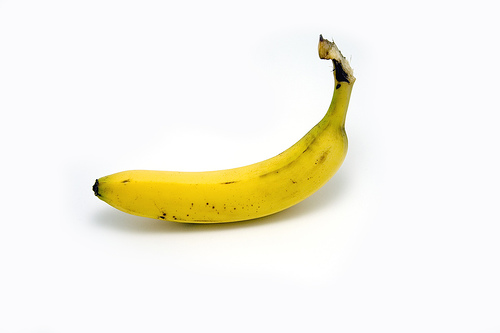 372469203_eb4ff05bd0.jpg
